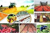 توسعه صنایع تبدیلی و تکمیلی، عامل اصلی افزایش صادرات بخش کشاورزی